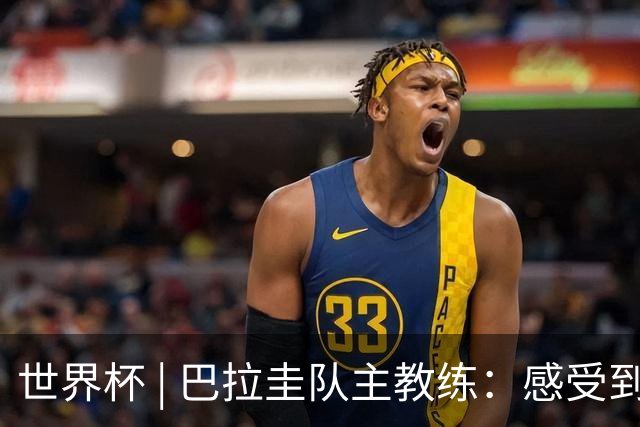 世界杯 | 巴拉圭队主教练：感受到比赛的极致压力
